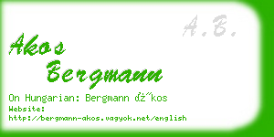 akos bergmann business card